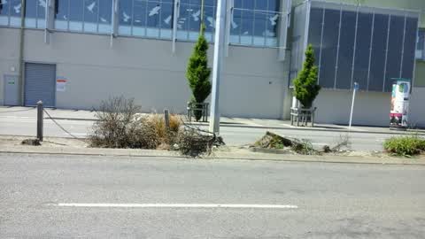 Roading/Streets, a report photo