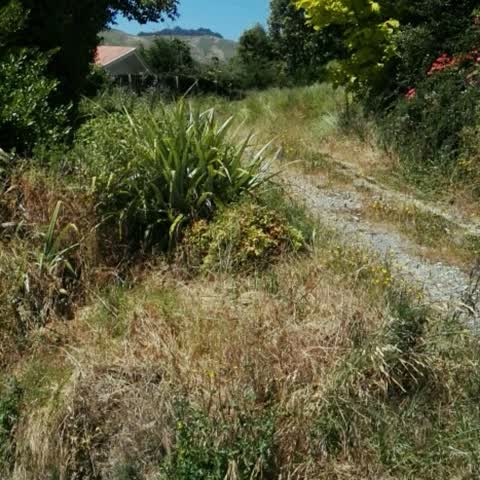 Roading/Streets, a report photo