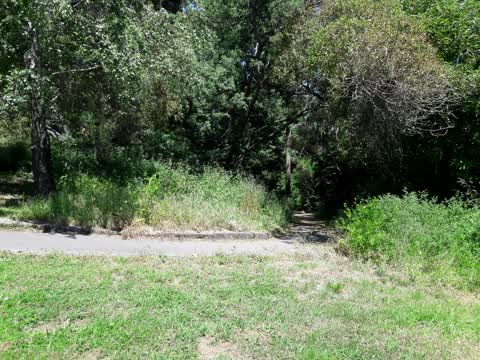 Parks, a report photo