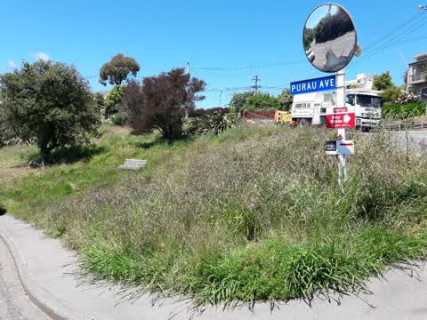 Roading/Streets, a report photo