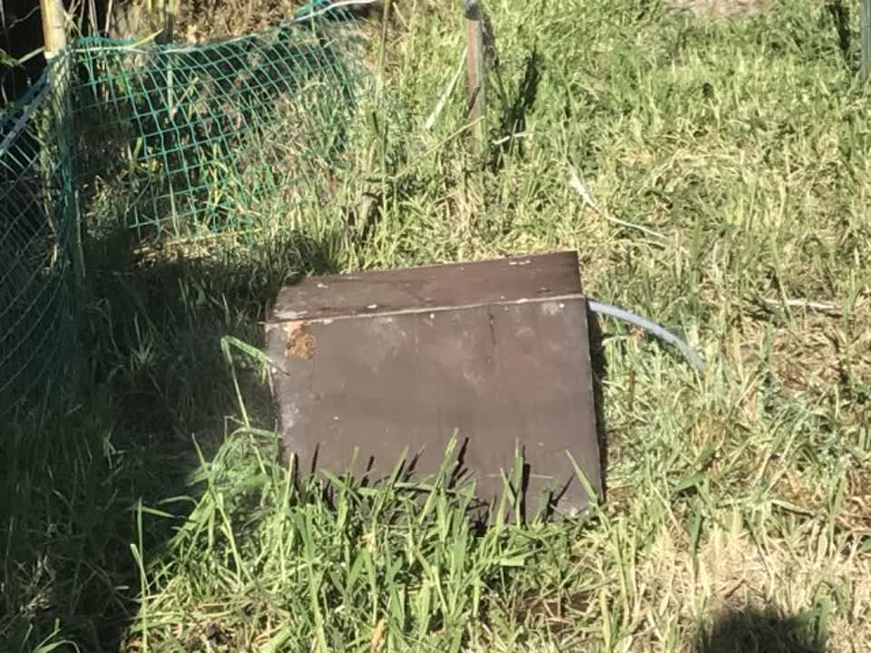 The photograph attached to this water supply report