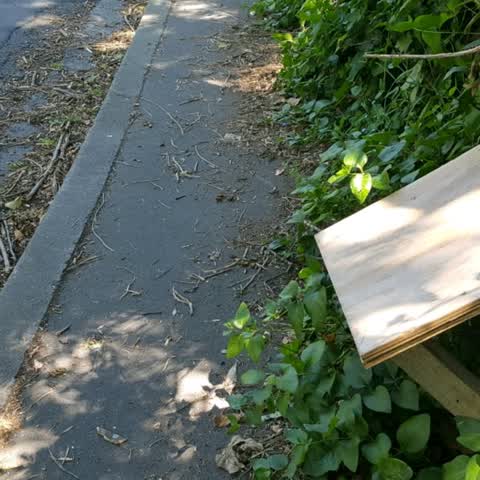 Roading/Streets, a report photo