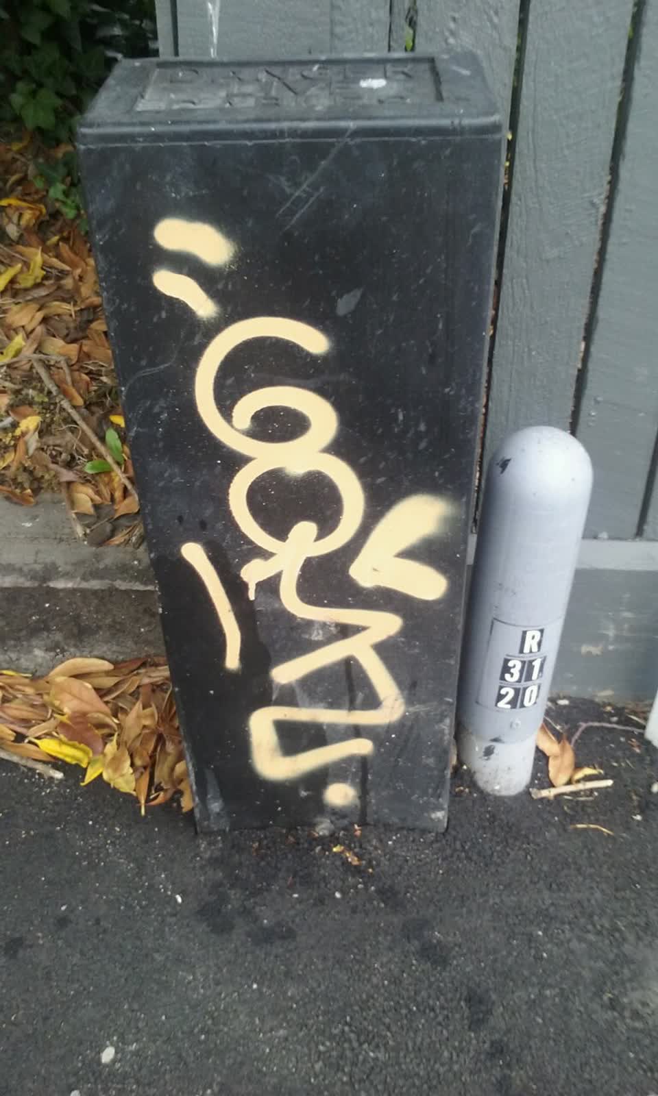 The photograph attached to this graffiti report