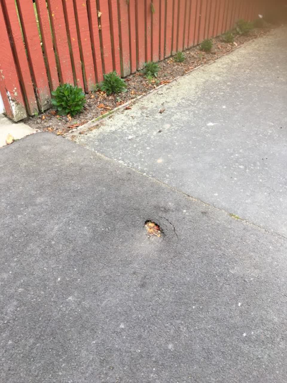 The photograph attached to this roading/streets report