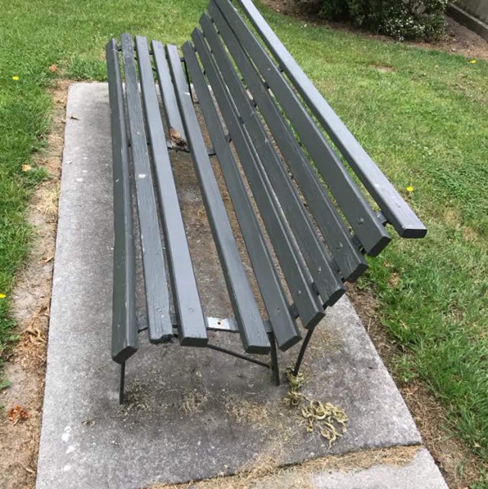 The photograph attached to this parks report