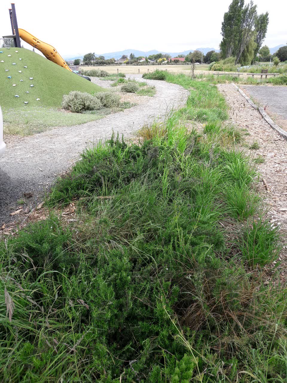 The photograph attached to this parks report