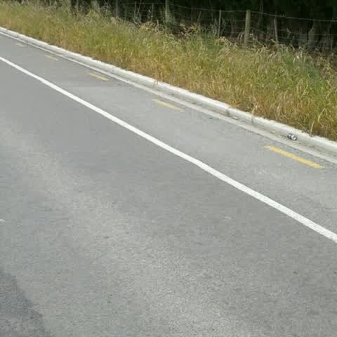 Roading/Streets, a report photo