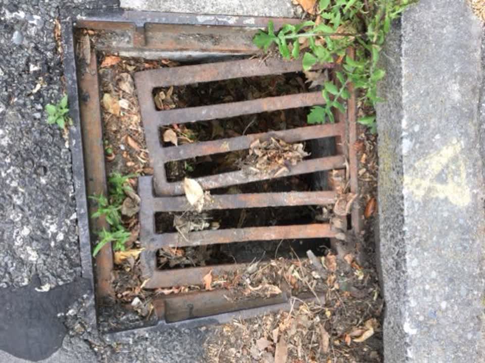 The photograph attached to this roading/streets report