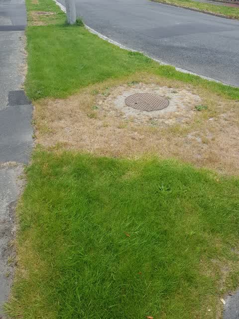 Roading/Streets, a report photo