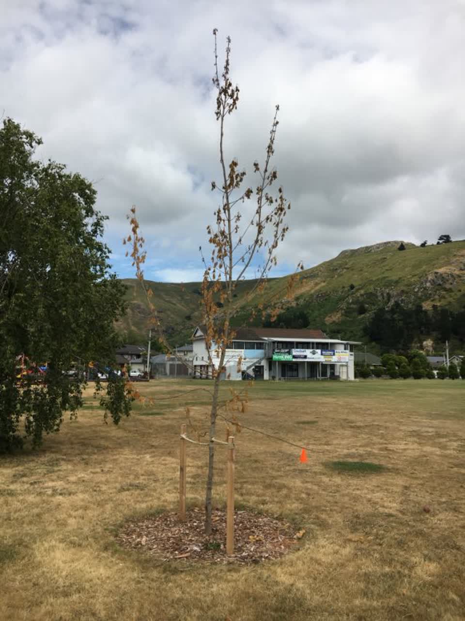 The photograph attached to this parks report