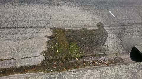 Water Supply, a report photo