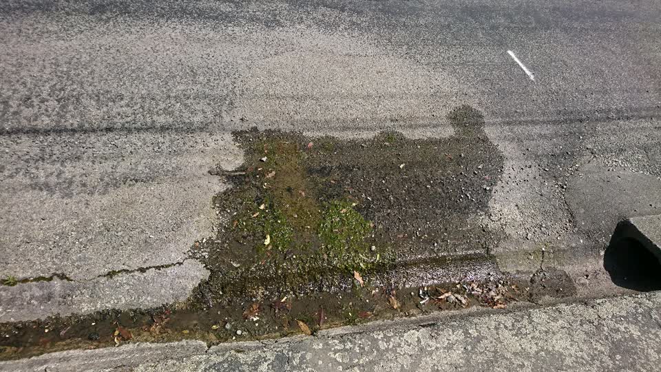 The photograph attached to this water supply report