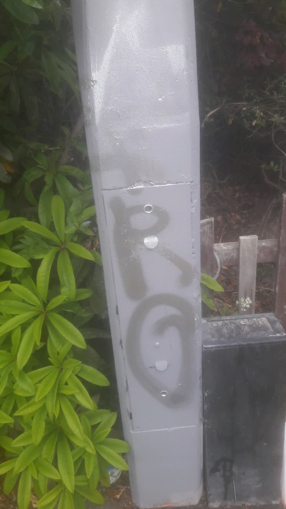 The photograph attached to this graffiti report
