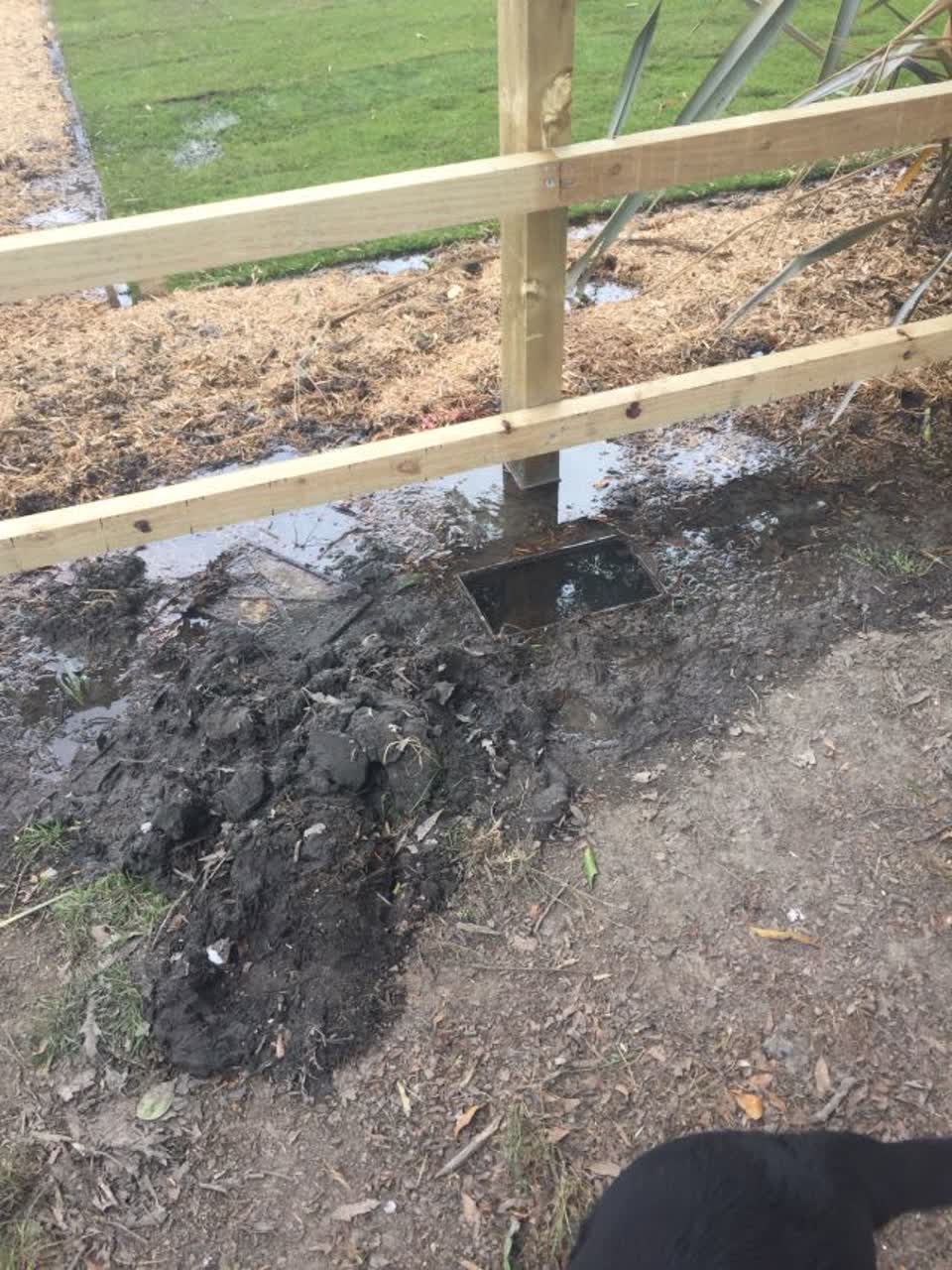 The photograph attached to this water supply report