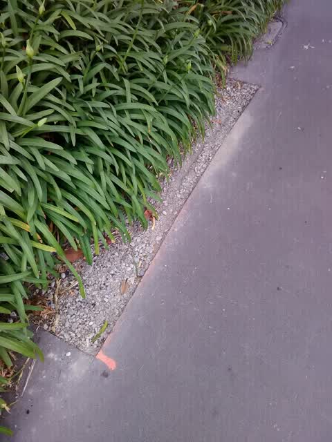 Roading/Streets, a report photo