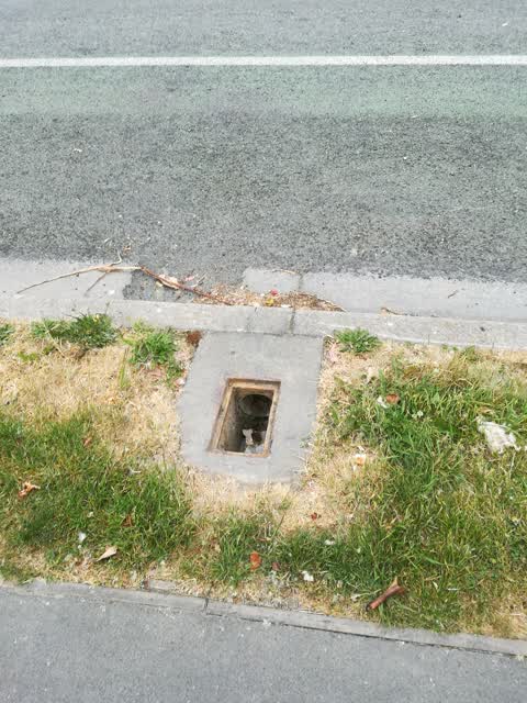 Wastewater/Stormwater, a report photo