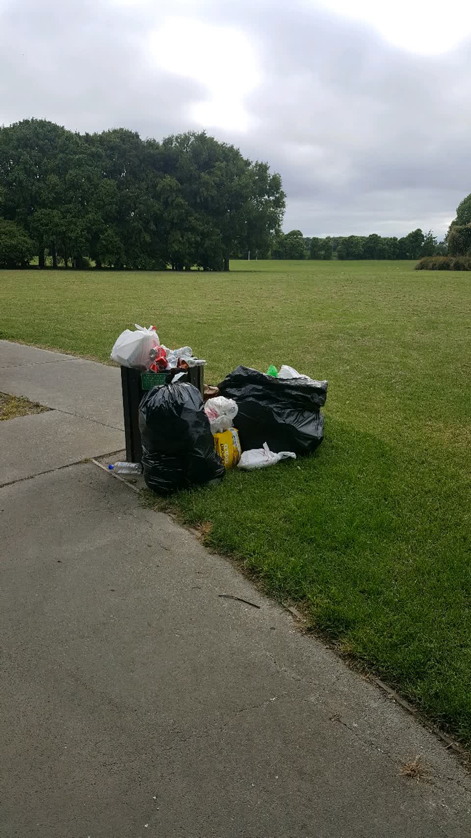 The photograph attached to this rubbish/recycling report