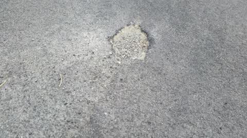Roading/Streets, a report photo