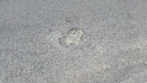 Roading/Streets, a report photo