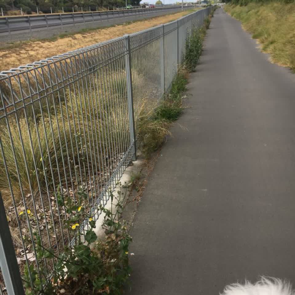 The photograph attached to this parks report