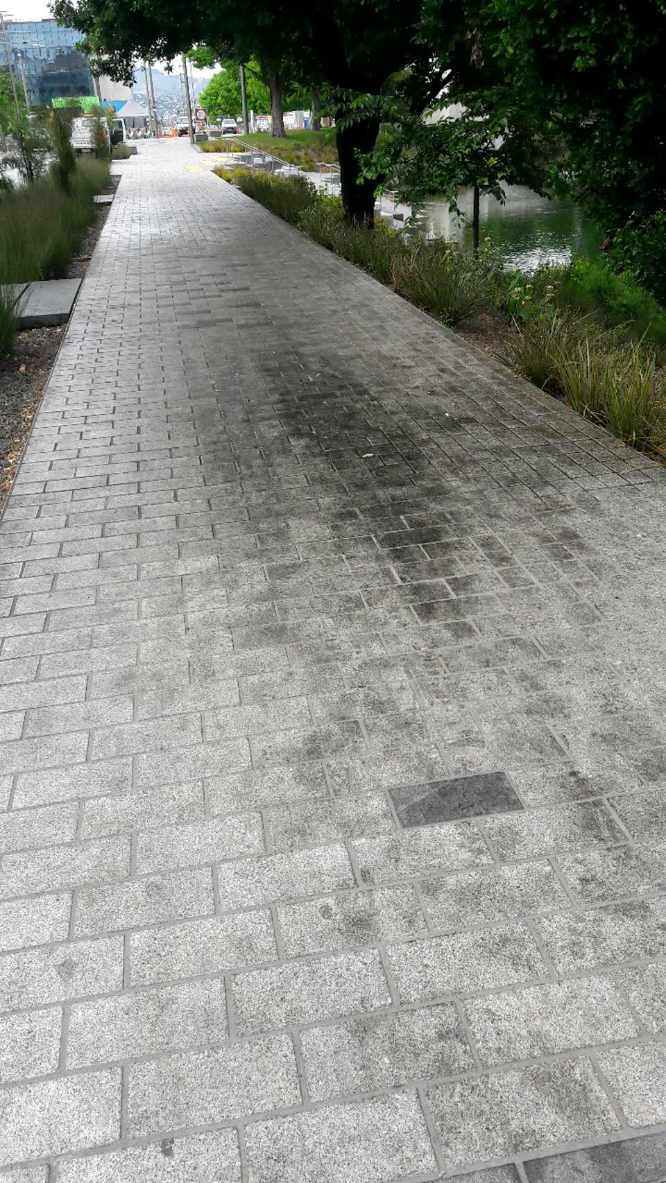 The photograph attached to this parks report