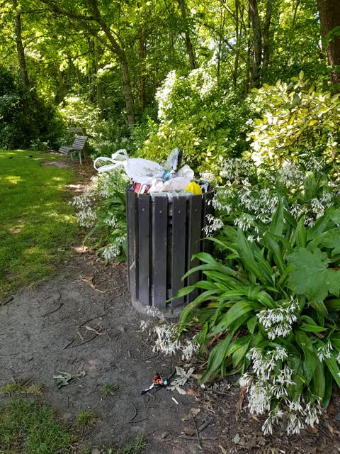 Rubbish/Recycling, a report photo