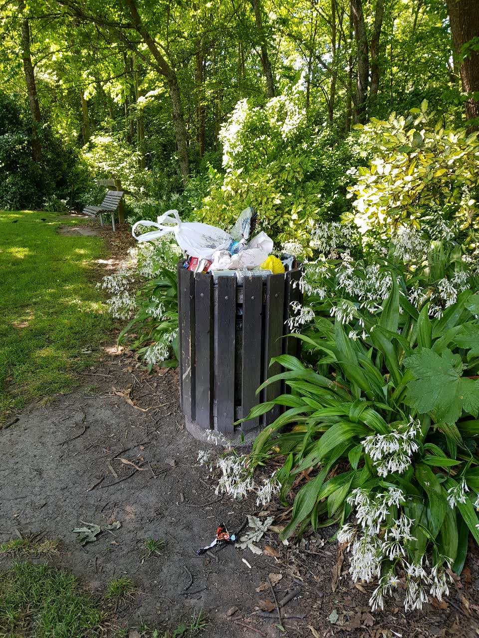 The photograph attached to this rubbish/recycling report