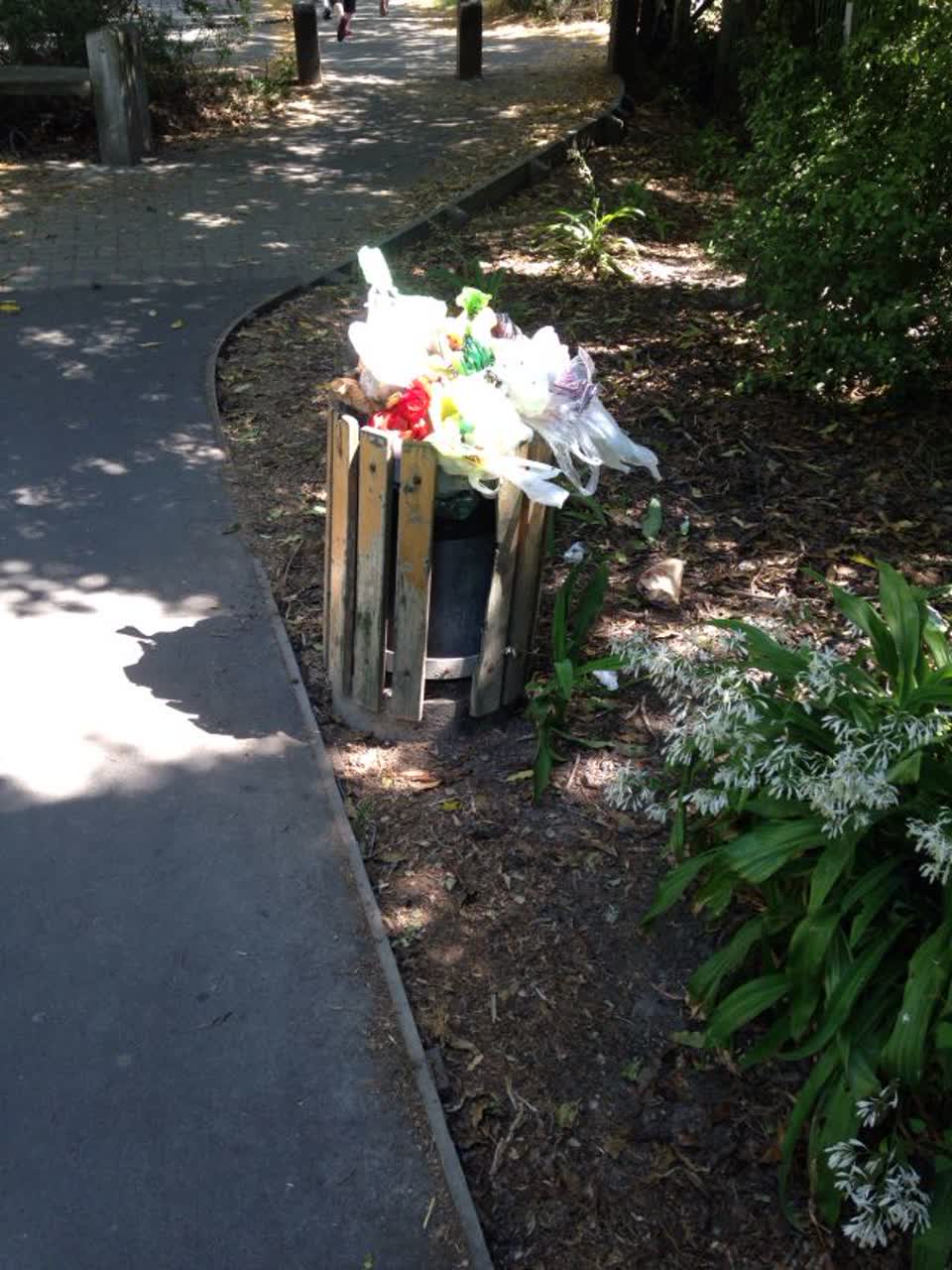 The photograph attached to this rubbish/recycling report