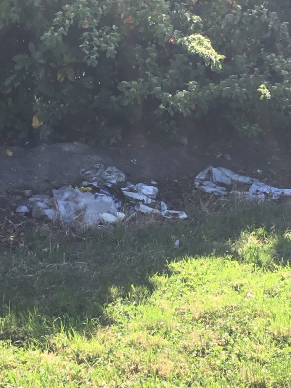 The photograph attached to this rubbish/recycling report