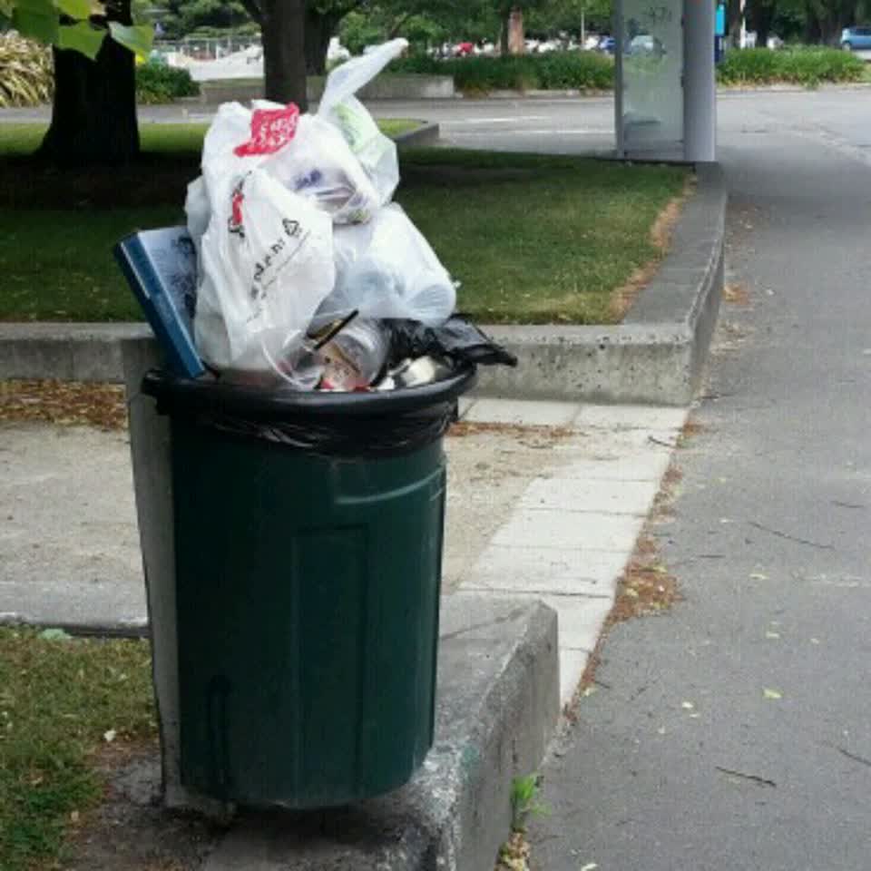 The photograph attached to this rubbish/recycling report