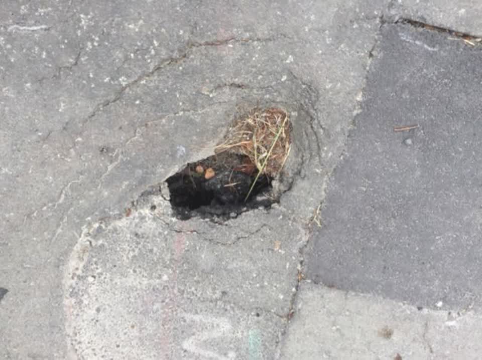 The photograph attached to this roading/streets report
