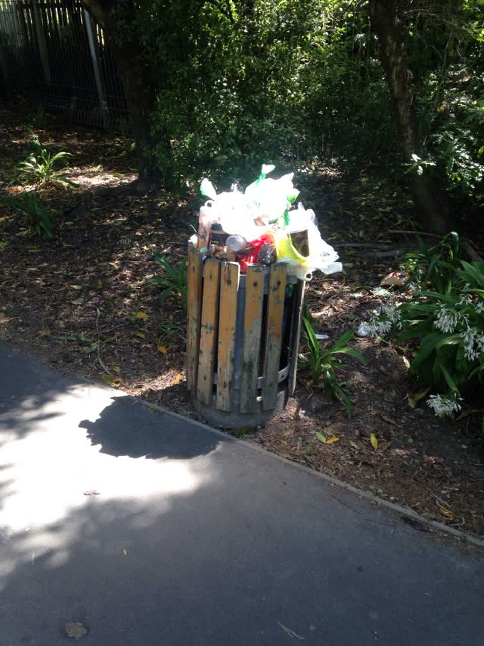 The photograph attached to this rubbish/recycling report