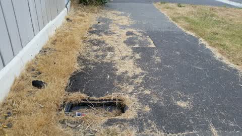 Roading/Streets, a report photo
