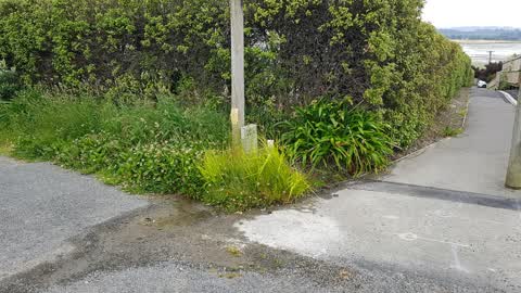 Water Supply, a report photo