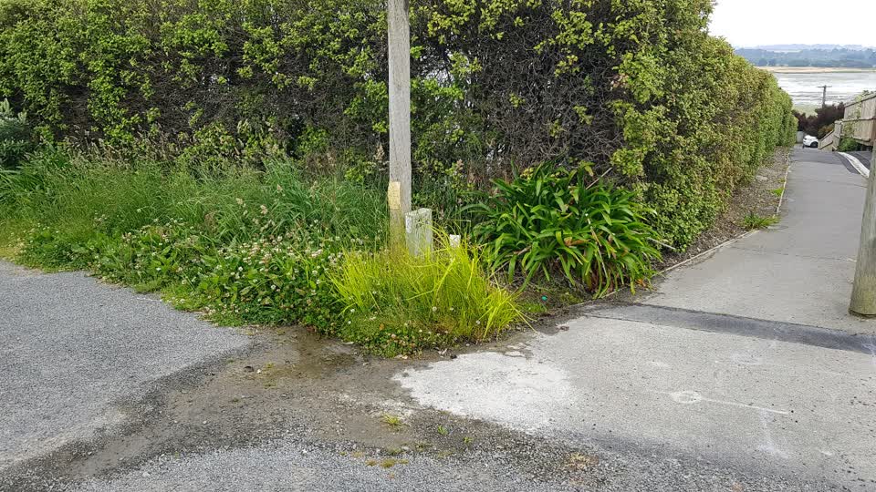 The photograph attached to this water supply report