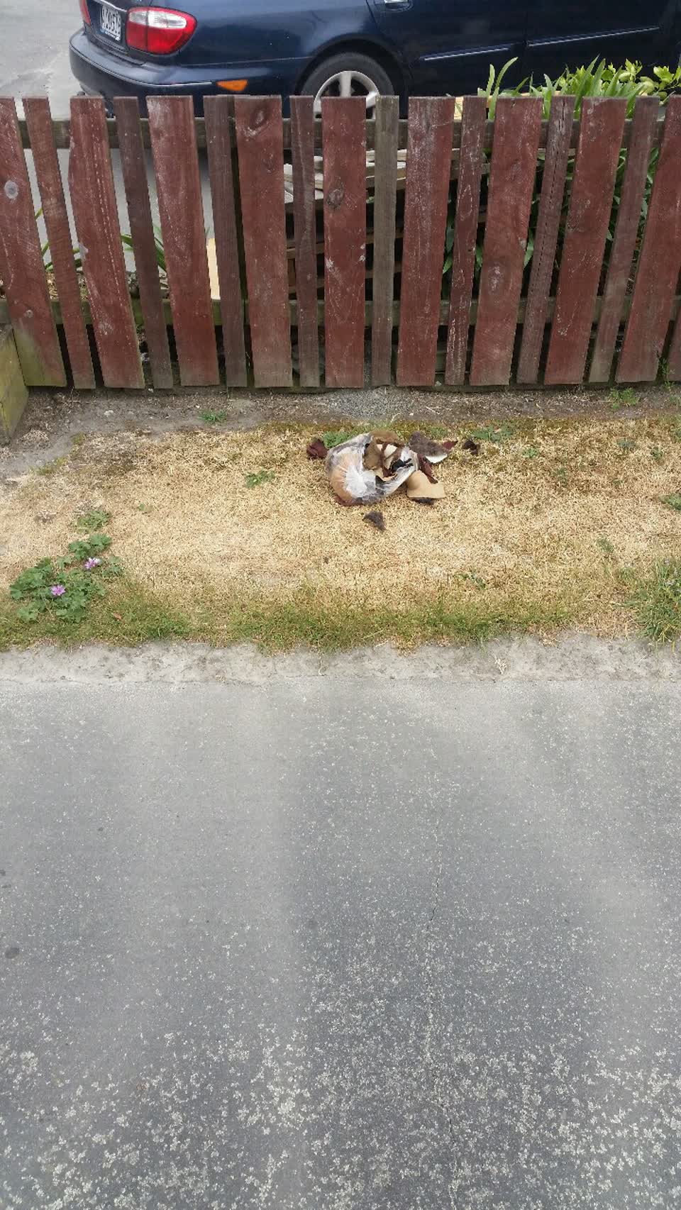 The photograph attached to this rubbish/recycling report