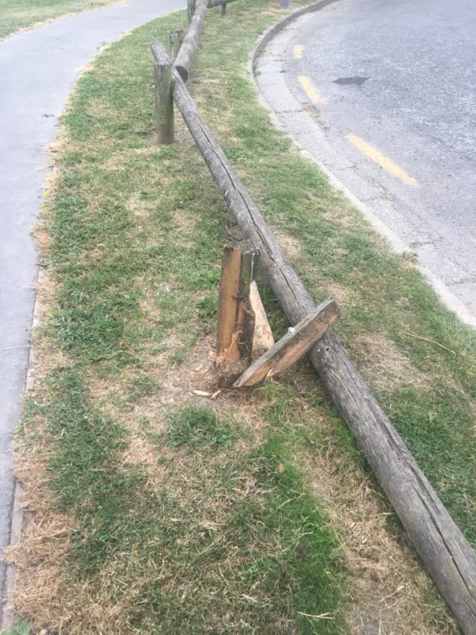 The photograph attached to this parks report
