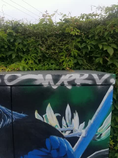 Graffiti, a report photo