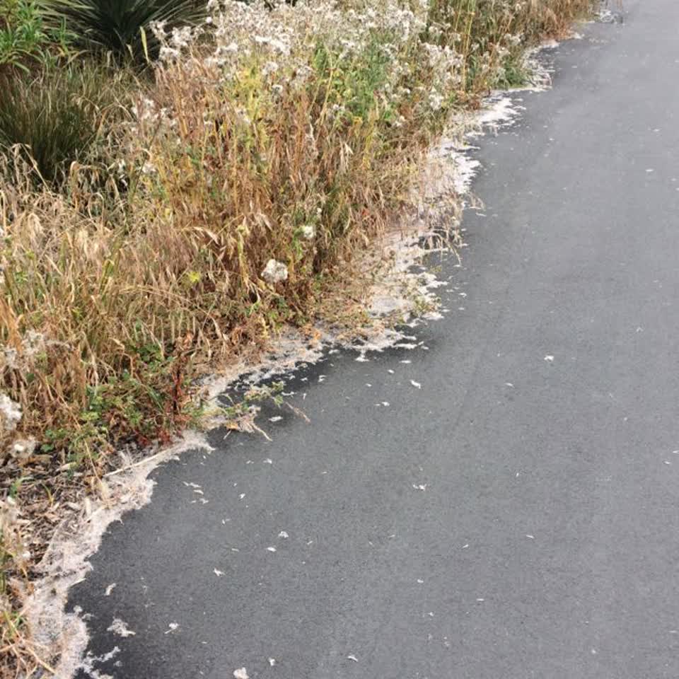 The photograph attached to this parks report