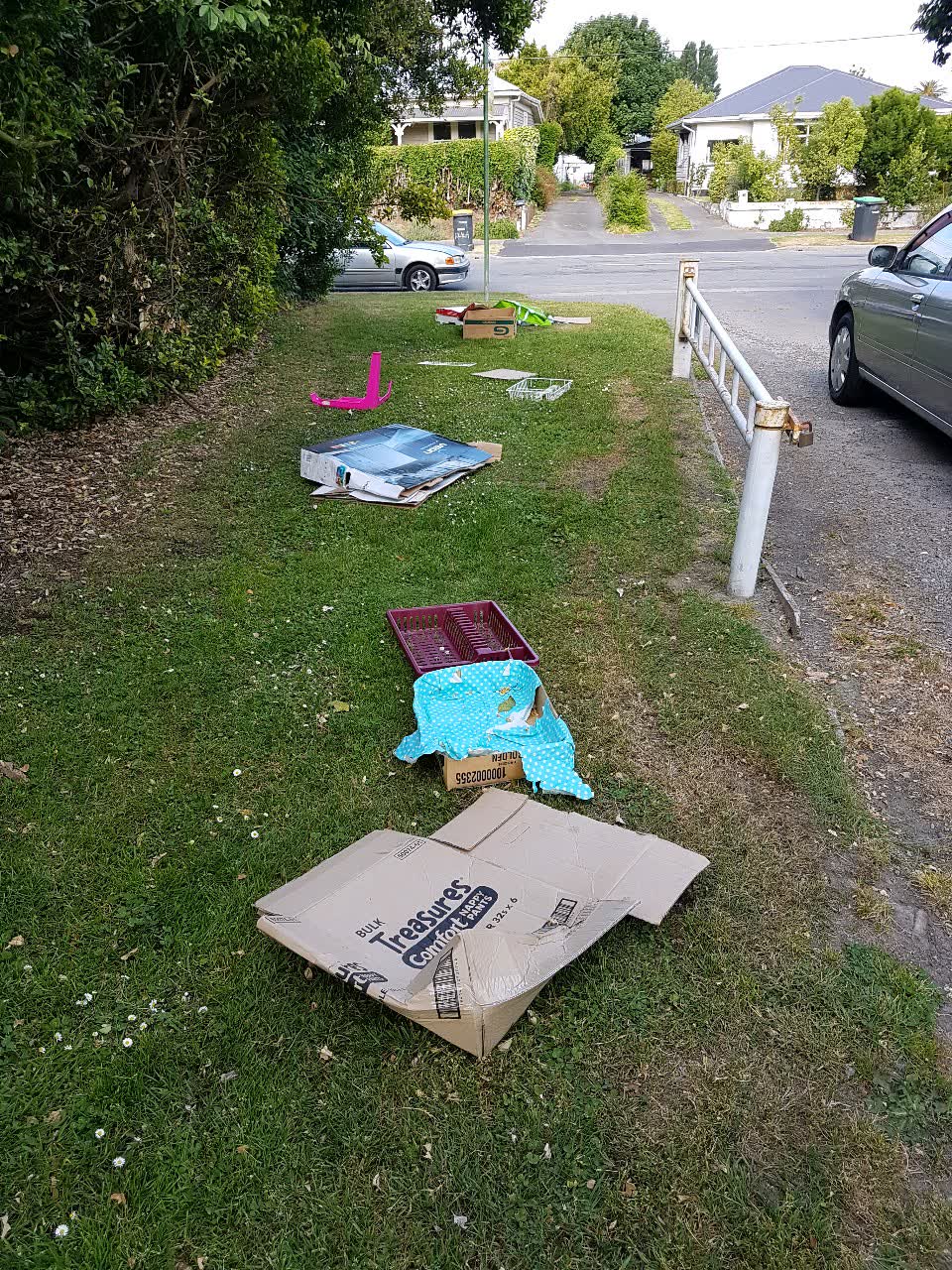 The photograph attached to this parks report