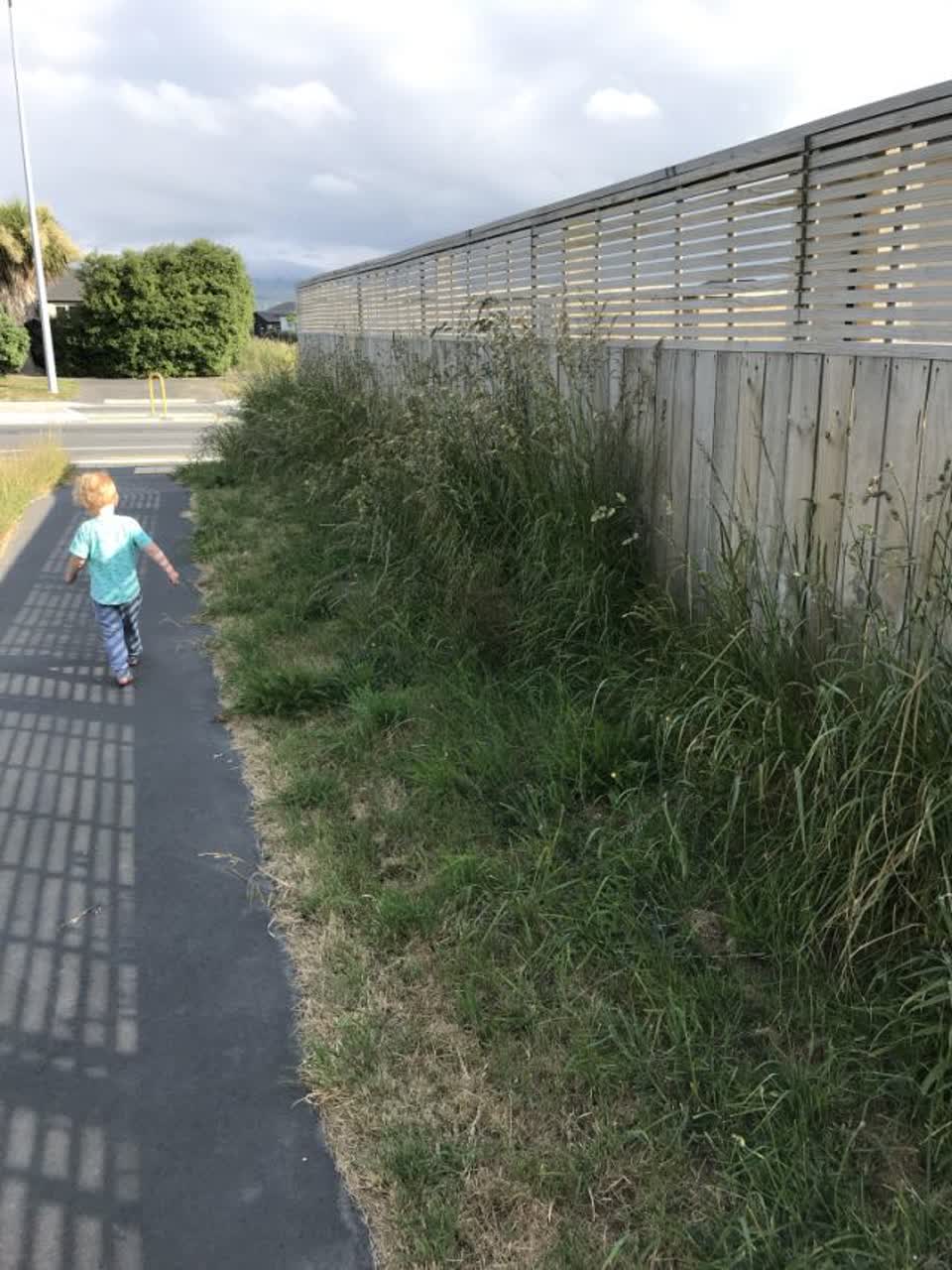 The photograph attached to this parks report