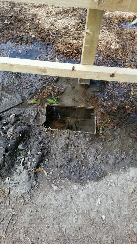 Water Supply, a report photo
