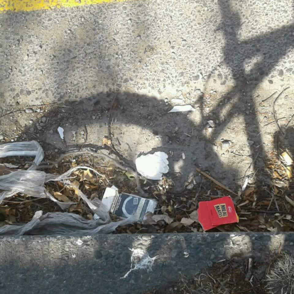 The photograph attached to this wastewater/stormwater report