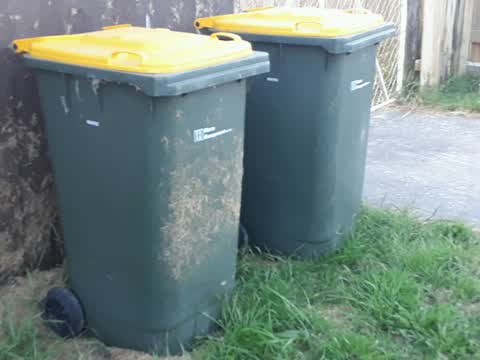 Rubbish/Recycling, a report photo