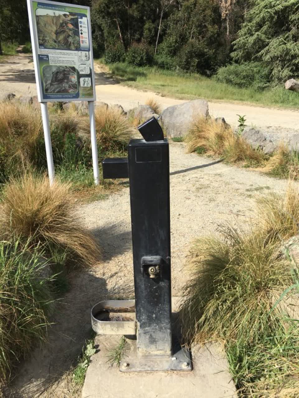 The photograph attached to this parks report