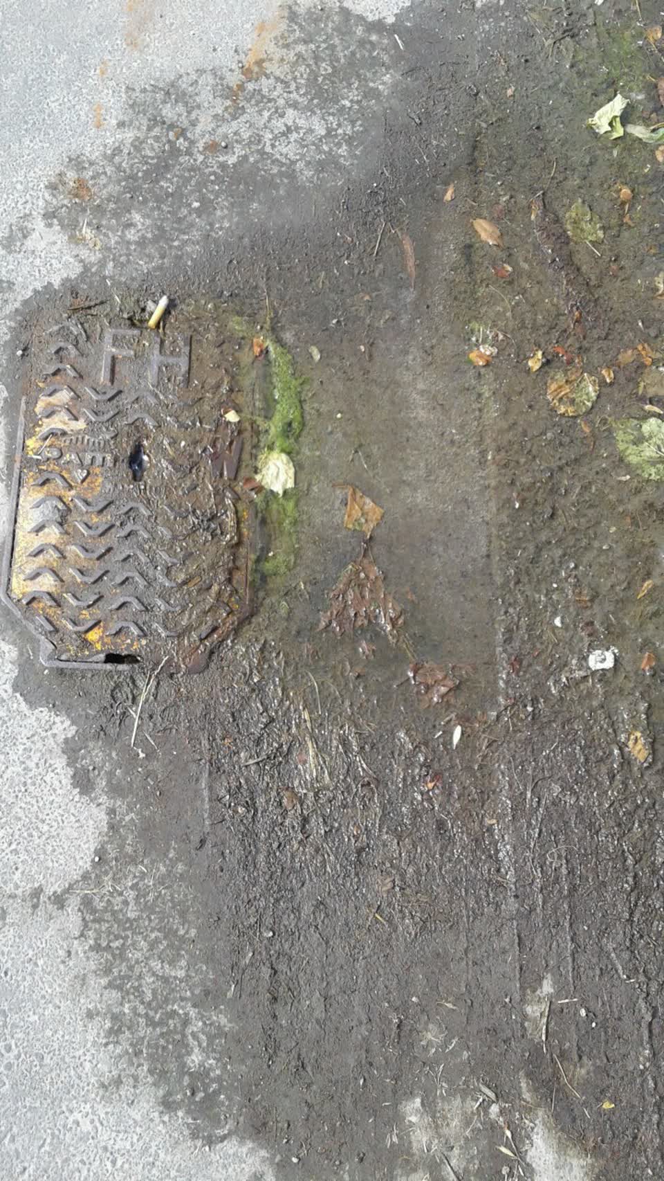 The photograph attached to this water supply report