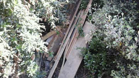 Roading/Streets, a report photo