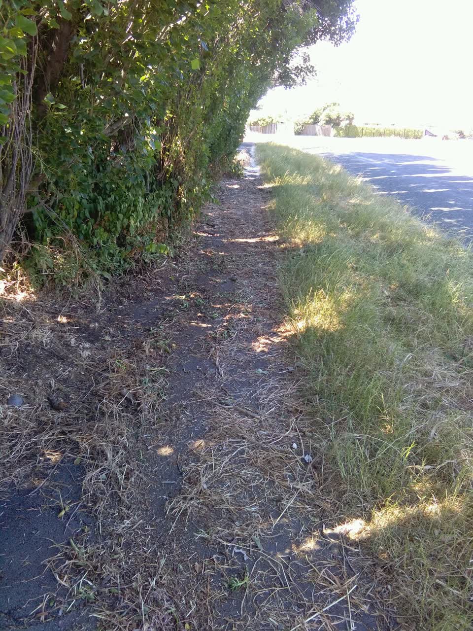 The photograph attached to this roading/streets report