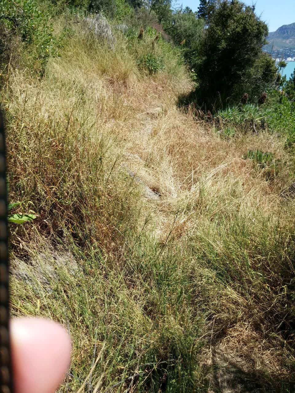 The photograph attached to this parks report