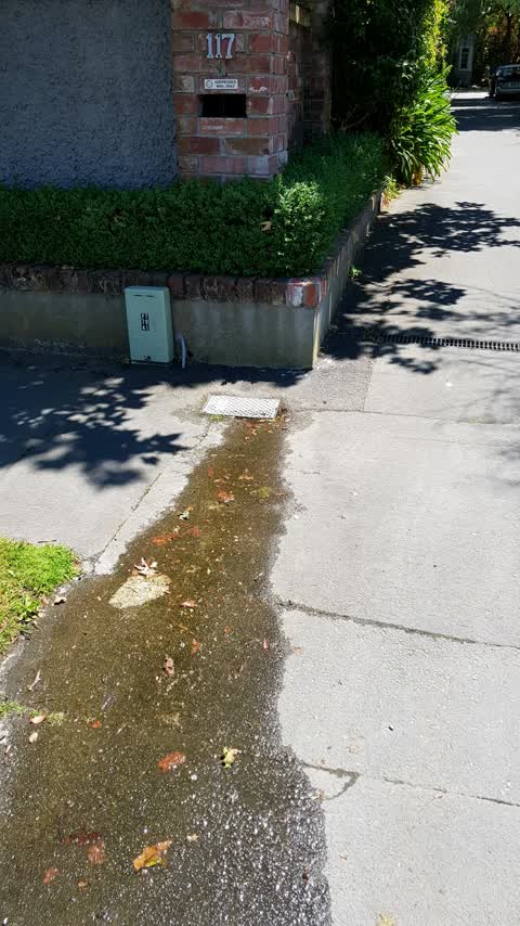 Water Supply, a report photo